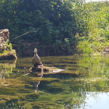 Riverside Bucine * Ljubuški