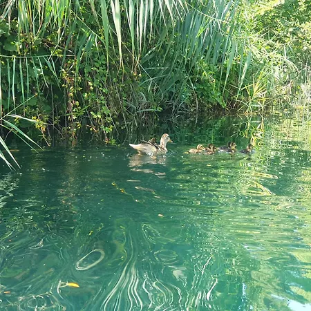 Riverside Bucine Dom wakacyjny Ljubuški